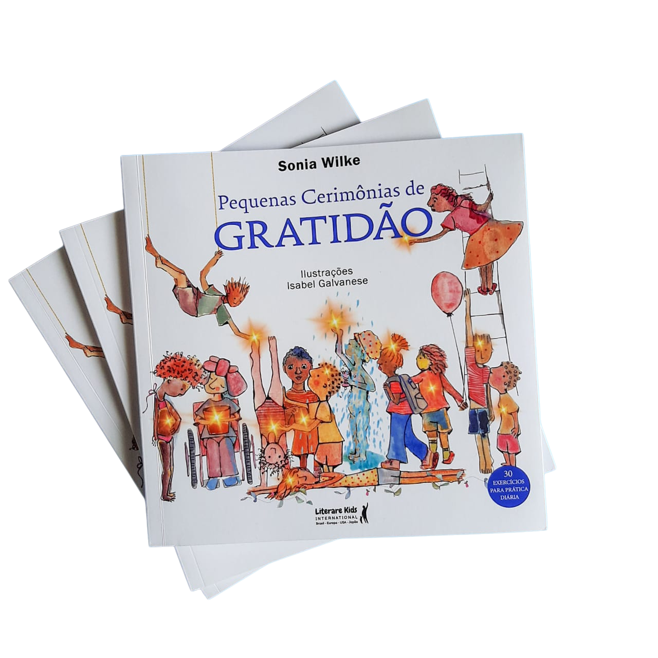 Lançamento Livro Pequenas Cerimônias de Gratidão